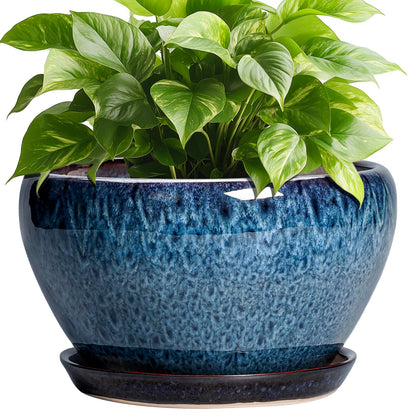 Ceramic Modern Glaze Succulent Planter Pot with Drainage Hole and Saucer 6 Inch Round Flower Plant Pot for Indoor Outdoor Herb Snake Plants