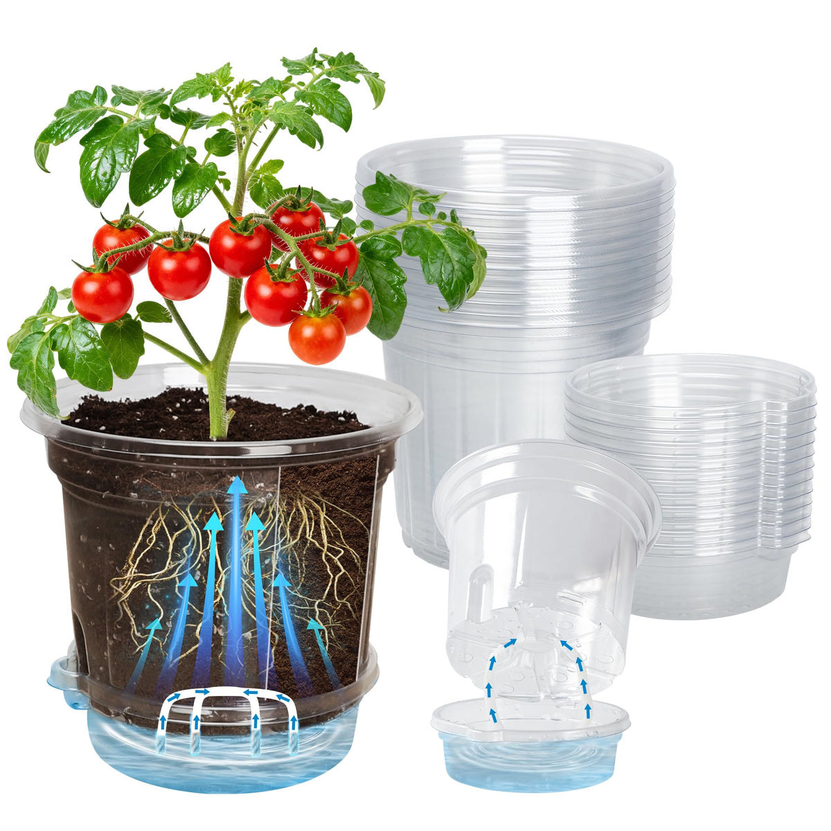 Bluepro Clear Nursery Pots with Drainage Holes, 3.5/4/5 Inch, 36-Pack