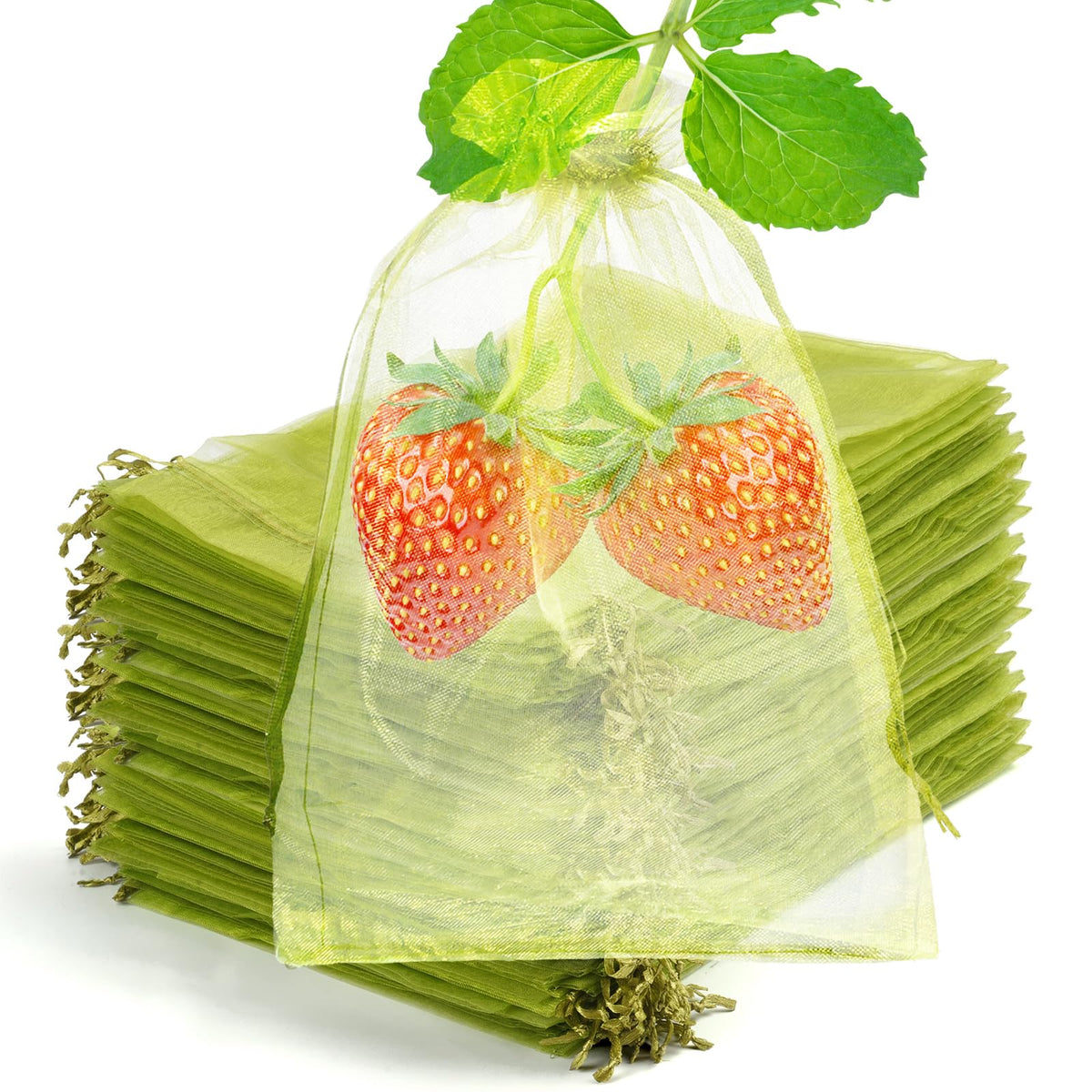 50 Pcs Fruit Protection Bags, 6×9 in Mesh Cover Nets for Tree, Green