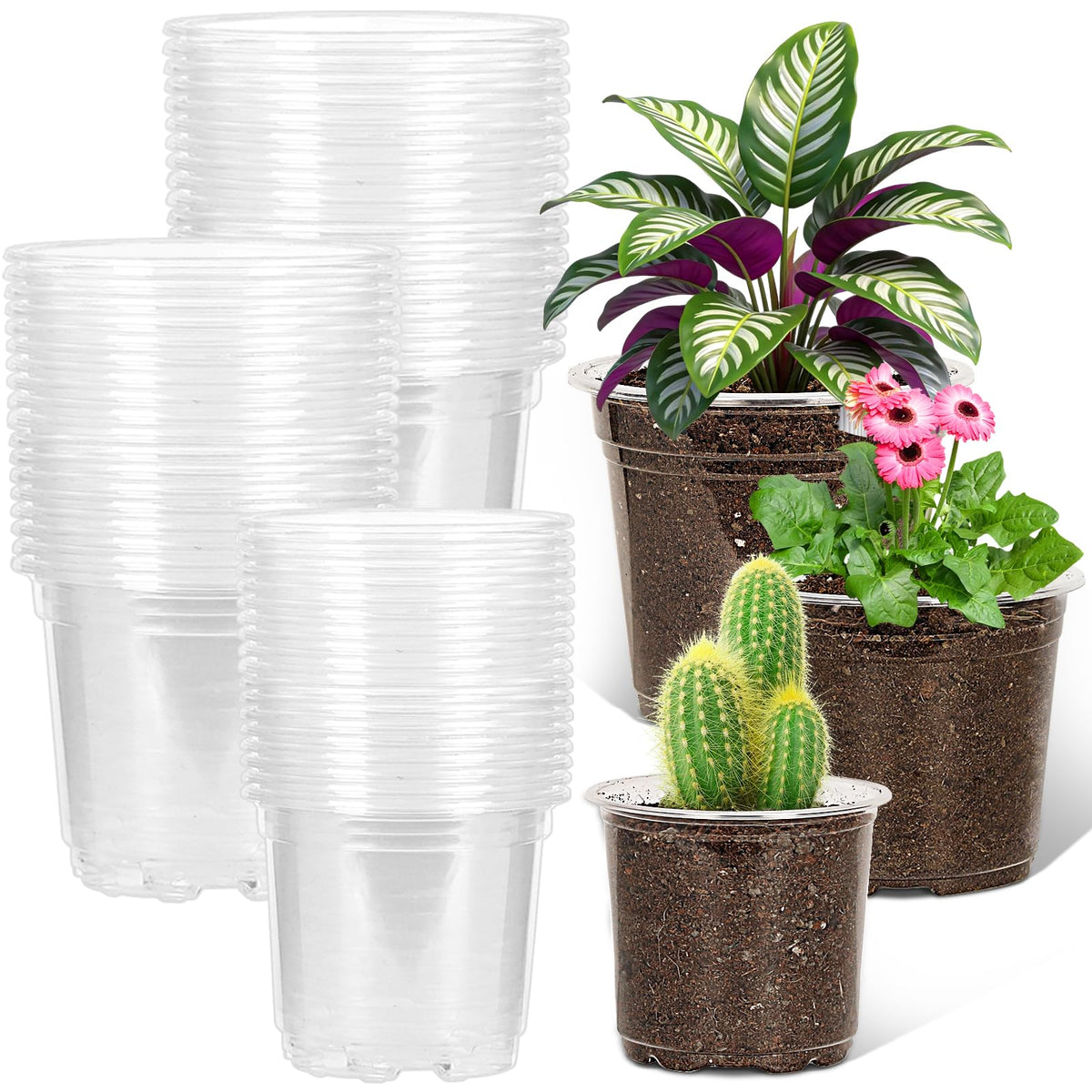 JERIA 30 Pack 6/5/4Inch Clear Nursery Pots with Drainage Holes, Clear Plant Pot for Planting, Transparent Plastic Plant Pots,Durable Seed Starting Pot for Succulents