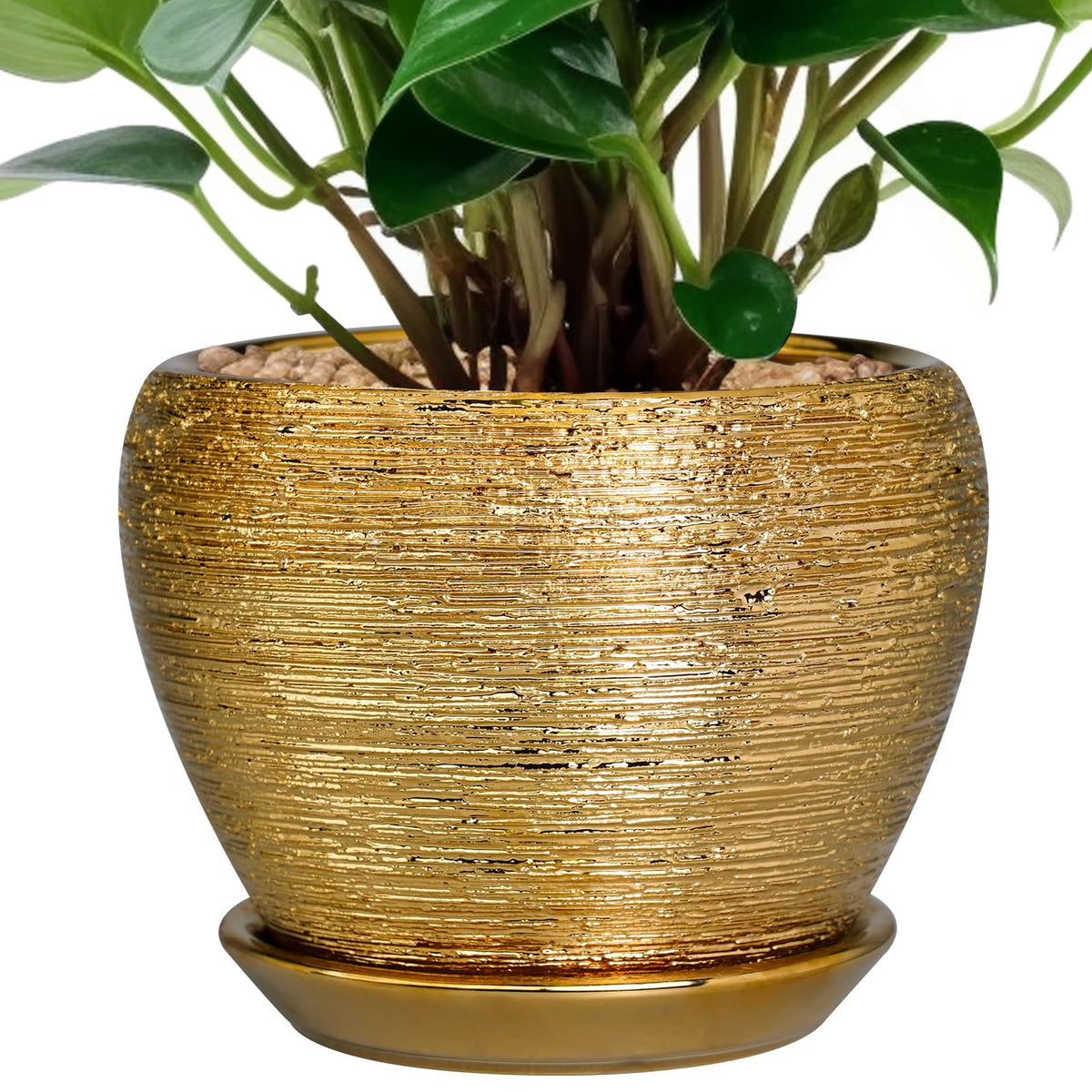 Ceramic Modern Glaze Succulent Planter Pot with Drainage Hole and Saucer 6 Inch Round Flower Plant Pot for Indoor Outdoor Herb Snake Plants