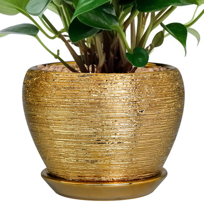 Ceramic Modern Glaze Succulent Planter Pot with Drainage Hole and Saucer 6 Inch Round Flower Plant Pot for Indoor Outdoor Herb Snake Plants