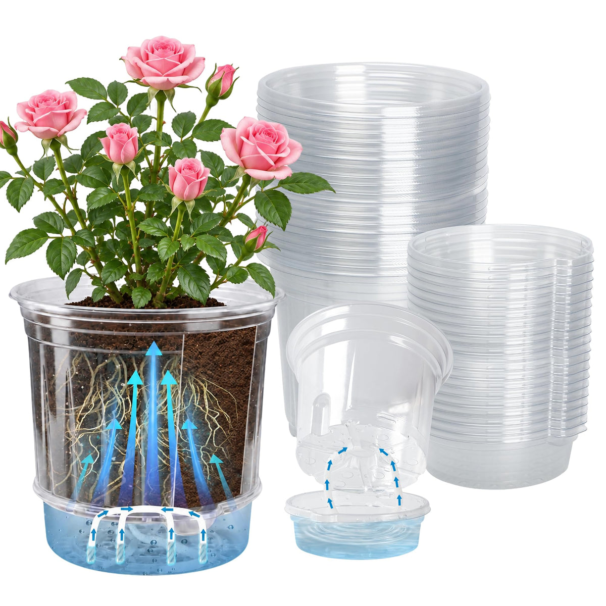 Bluepro Clear Nursery Pots with Drainage Holes, 3.5/4/5 Inch, 36-Pack