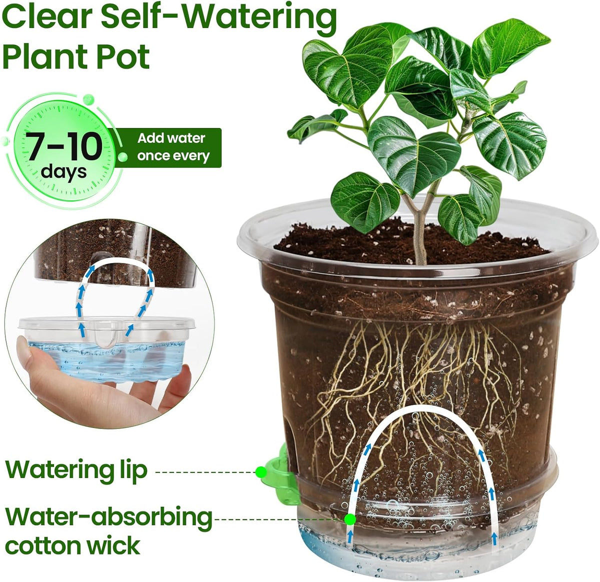 MIXC 18 Pack 6.5/5/4 Inch Self Watering Pots for Indoor Plants-Clear