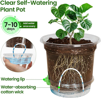 MIXC 18 Pack 6.5/5/4 Inch Self Watering Pots for Indoor Plants-Clear