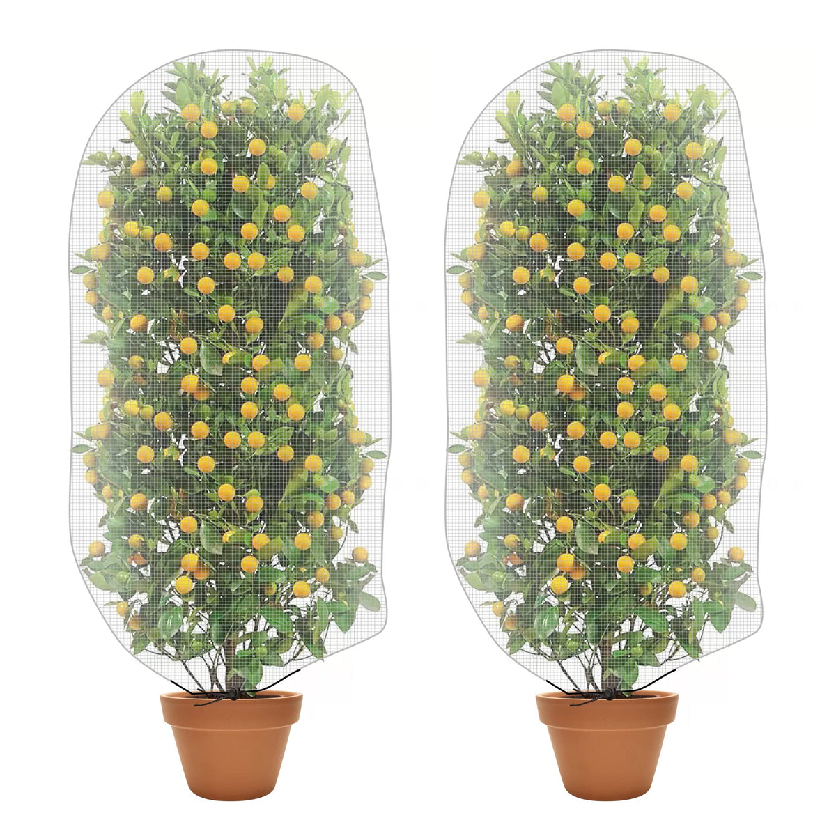 Alpurple 2 Pcs Insect Bird Barrier Netting Mesh with Drawstring- 4.9 x 3.2 Ft Garden Bug Netting Plant Cover- Fruit Tree Net for Protect Plant Fruits Citrus Flower from Insect Bird Eating