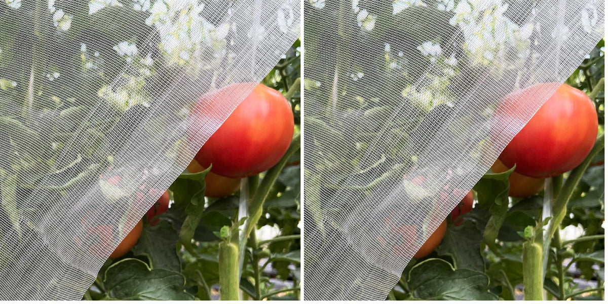 Garden Netting 10x33ft - Ultra Fine Mesh Insect Bug Screen Barrier