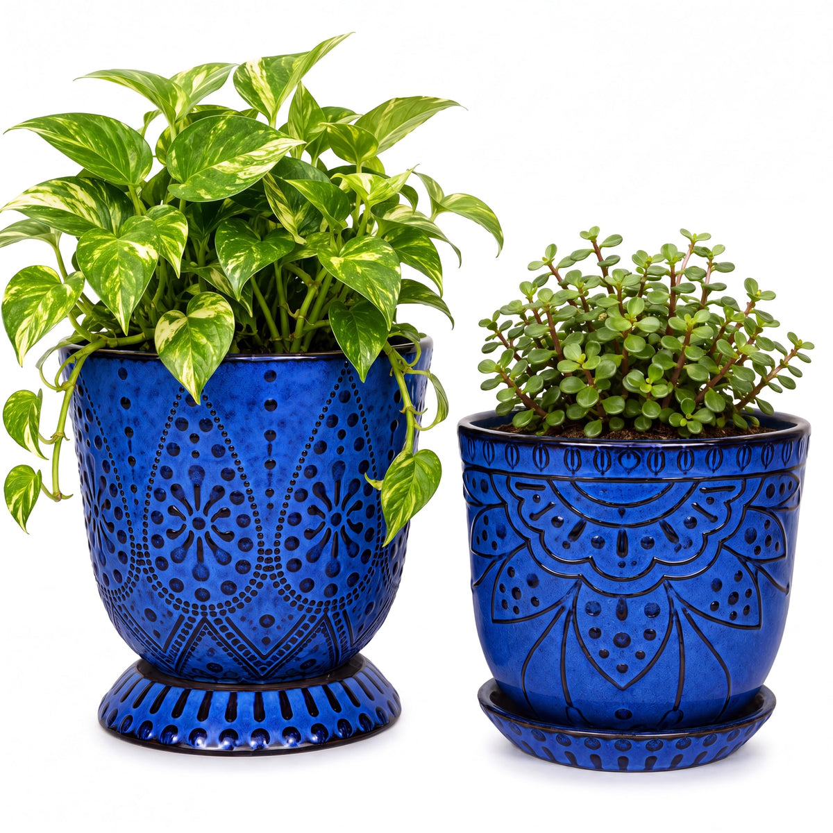 Gepege Ceramic Plant Pots, 6 Inch Indoor Planters with Drainage & Saucers