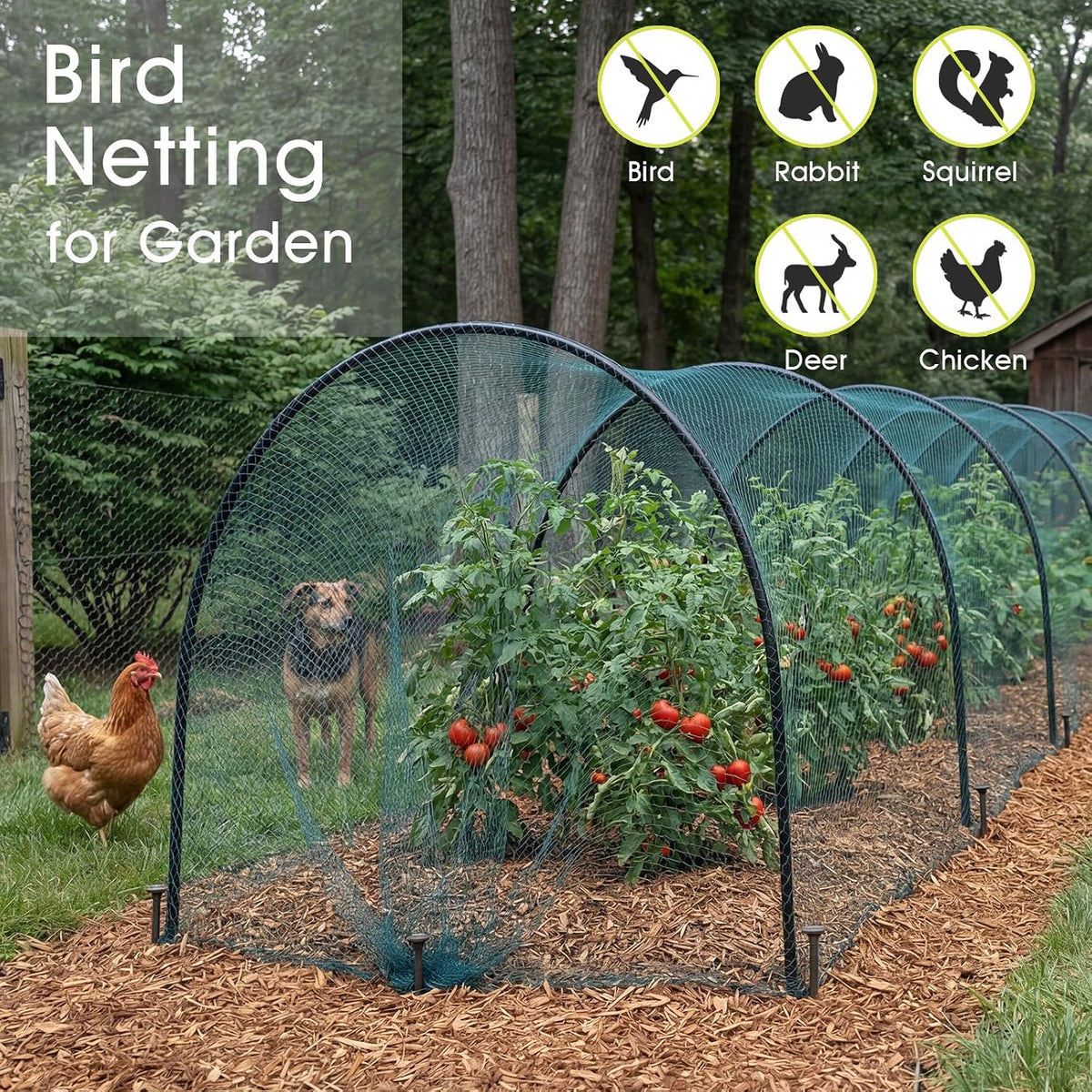 RIFNY Bird Netting for Garden Protection, 13 x 40FT Mesh Garden Netting