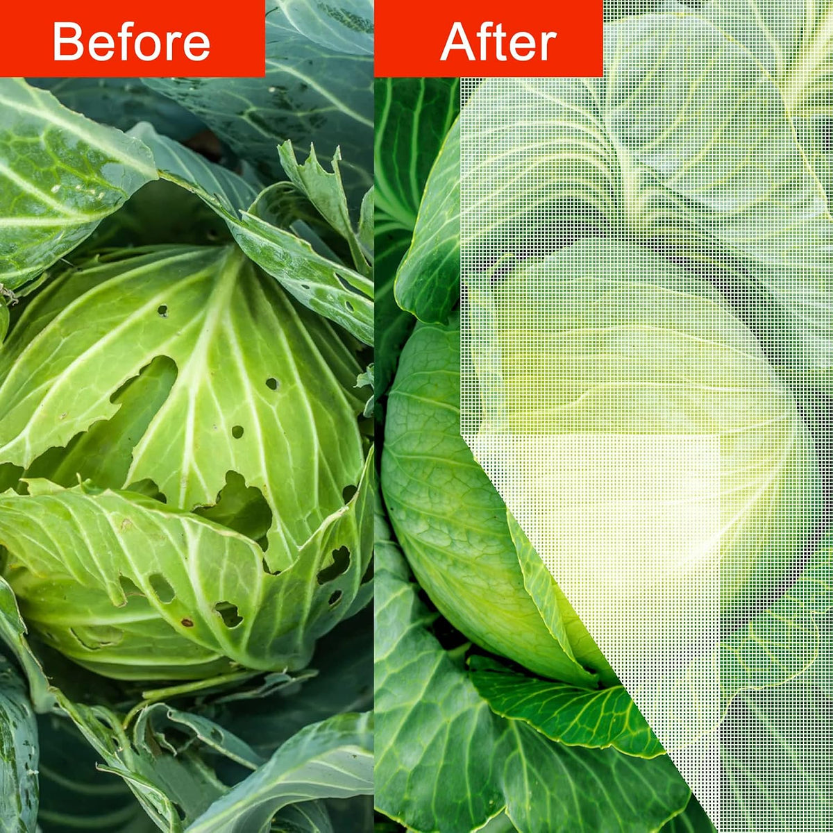 Agfabric Bird Netting 39" Hx39 W Garden Netting Insect Pest Barrier,Plant Cover Fruit Tree Netting Mesh Protection Bag with Drawstring,White